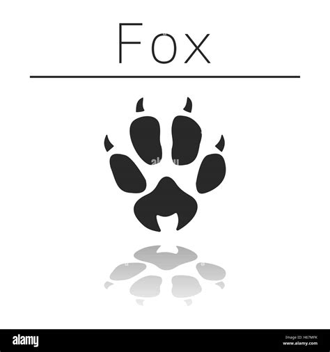 Fox Paw Print Hi Res Stock Photography And Images Alamy