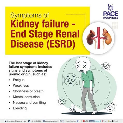 Kidney Failure End-Stage Renal Disease: Symptoms, Causes, 49% OFF