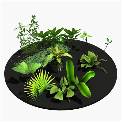 plant    model ds obj lwo mtl dxf freed