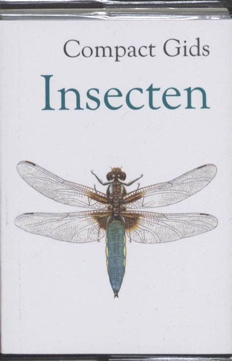 Compact Gids Insecten Diverse Auteurs Nicolas Hammond Insects