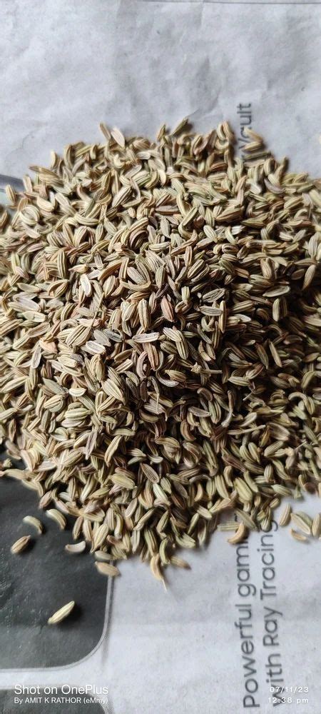 Fennel Seed Moti Saunf Natural Color At Rs Kg Fennel Seed In