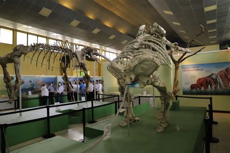 Anuncian Modernizaci N De Museo De Paleontolog A Y Arqueolog A En