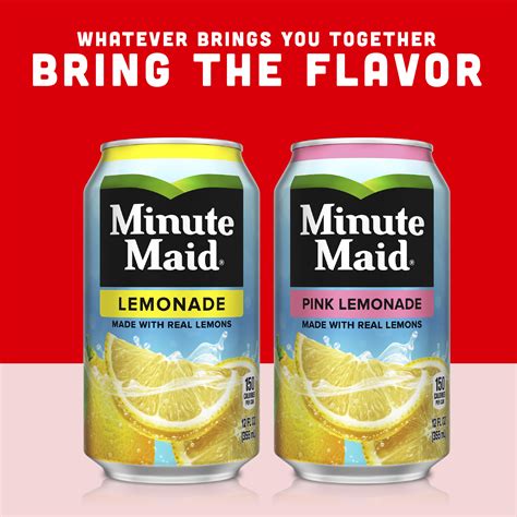 Minute Maid Zero Sugar Lemonade Fruit Juice 12 Fl Oz 12 Cans