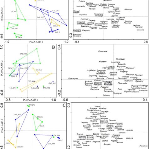 Principal Coordinates Analysis Pcoa Showing The Distribution Of