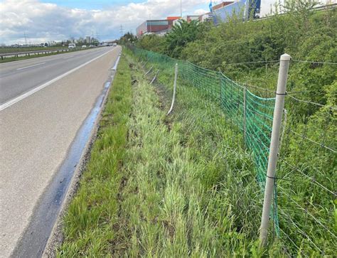 Neuendorf SO Unfall mit Führerflucht auf der A1