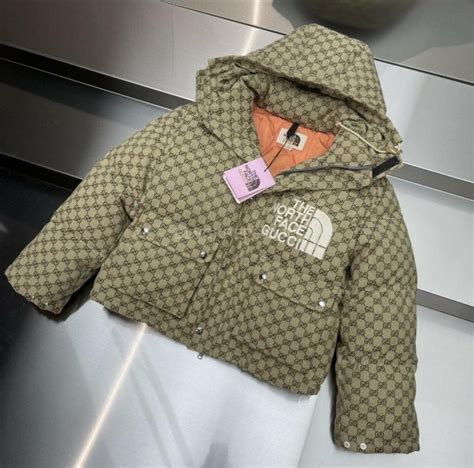 Gucci X The North Face Jacket Blvckreps