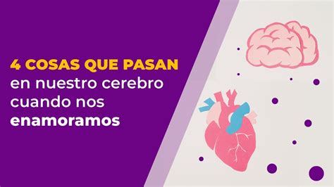 4 Cosas Que Pasan En Nuestro Cerebro Cuando Nos Enamoramos Youtube