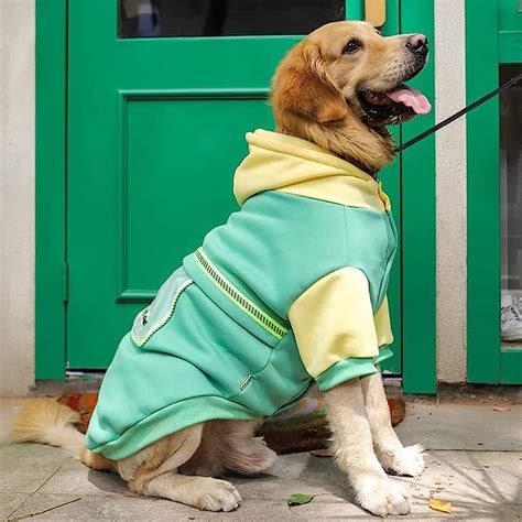 Actualizar 51 Imagen Ropa De Invierno Para Perros Grandes Abzlocal Mx