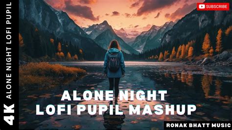 Alone Night Bollywood Mash Up L Lofi Pupil Bollywood Songs Chillout