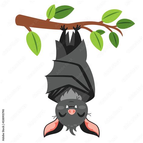 Cartoon Drawing Of A Bat Stock Vector | Adobe Stock