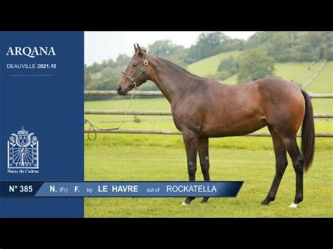 Arqana N F Le Havre Pr Sent E Par Le Haras Du Cadran