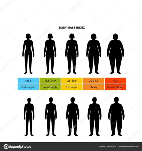 Tabla De Clasificación Imc Medida Mujer Infografía Del