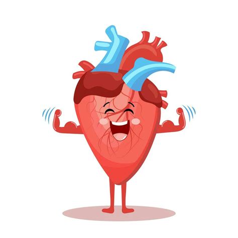 Cute cartoon cheerful character of healthy human heart. Human anatomy ...