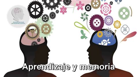 Aprendizaje Y Memoria Influencia En La Vida Diaria Colegio De