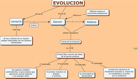 Evolucion Teoria De La Evolucion En 1978 Ernest Mayr Resume Las Ideas