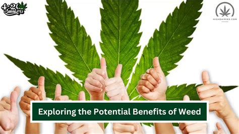 Unlocking the Potential Benefits of Weed: A Comprehensive Guide ...