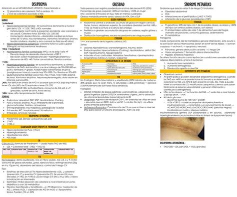 Flashcard Dislipidemia Obesidad Sd Metabolico Karine Bacellar Udocz