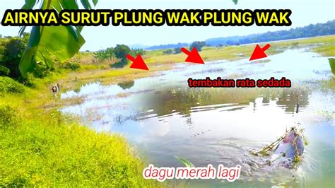 WADUK PACAL AIR SURUT DIBIKIN KUWALAHAN IKAN SEPERTI GAK ADA HABISNYA