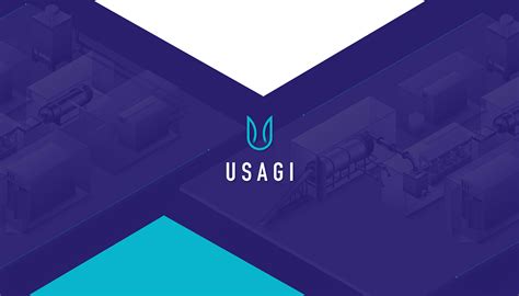 usagi branding  behance