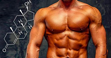 The Definitive List Of Steroids For Bodybuilding Cleanfarma