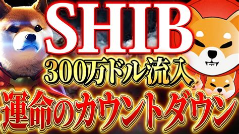 【shib柴犬コイン】仮想通貨のシバイヌコインが爆上げ間近！シバイヌコインの最新情報を今すぐチェック！ Youtube