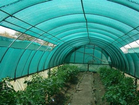 HDPE Aschel Knitted Agriculture Shade Net For Greenhouse 30gsm 300gsm