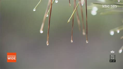 광주·전남 흐린 가운데 내일까지 비 내려