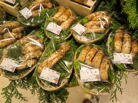 Matsutake Mushroom Season in Japan | Japan Experience