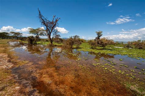 Great Exposures Kenya Crescent Island