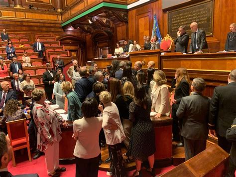 Tensione Al Senato L Opposizione Sventola Il Tricolore Seduta Sospesa