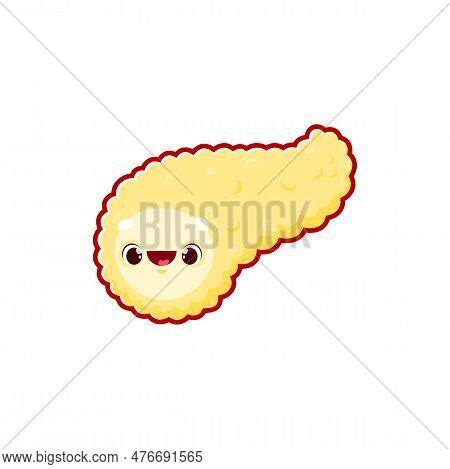 Cartoon Pancreas Vector Photo Free Trial Bigstock