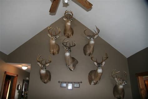 Deer Trophy Room Ideas Bestroom One