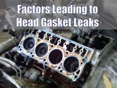 lexus head gasket repair cost  julia belcher blog