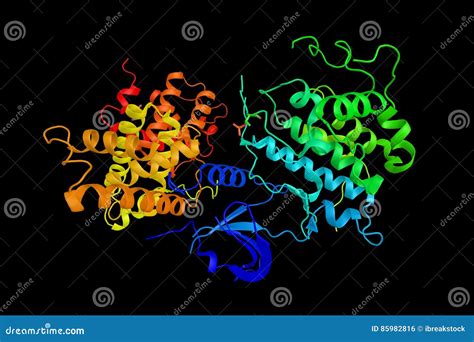 Cyclin-dependent Kinase 9, a Cyclin-dependent Kinase Associated Stock ...