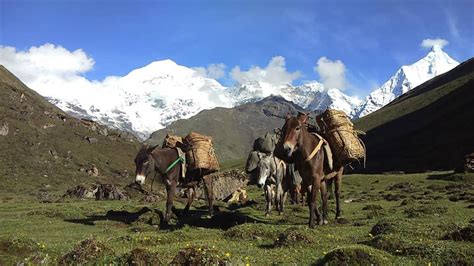 Hot tips for trekking the Laya-Gasa route