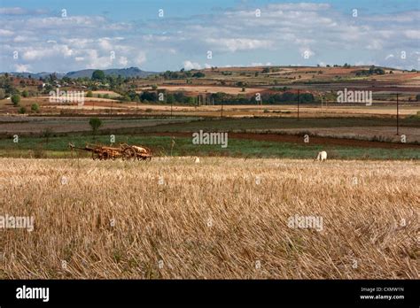 myanmar burma farmland   shan plateau  shan state stock photo