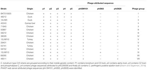 Frontiers New Insights Into The Genetic Diversity Of Clostridium