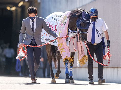 オークス馬ユーバーレーベン、ドウデュース半姉のダートop馬らがjra登録を抹消 ライブドアニュース