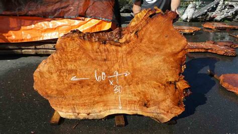 Redwood Burl Slabs Reclaimed California Redwood Redwood Burl Inc