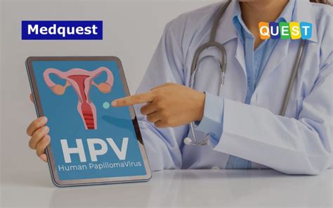 Kanker Serviks Peran Tes Cepat Molekuler Pada Pemeriksaan Hpv