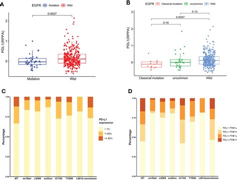 Frontiers Pd L Expression Tumor Mutational Burden And Immune Cell