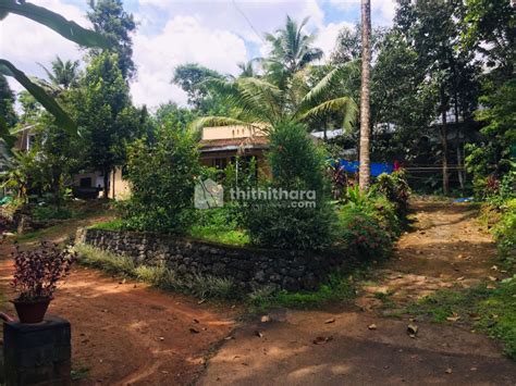 Land for Sale at Thodupuzha Idukki