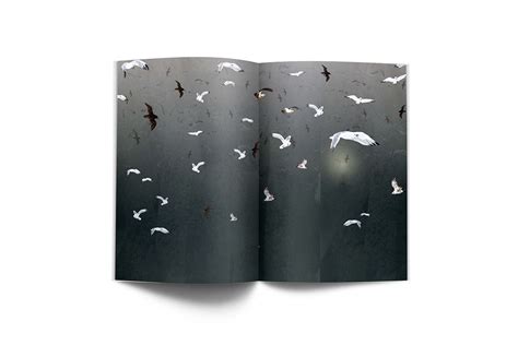 Bird book on Behance