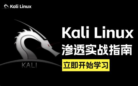 【黑客基础】kali Linux渗透实战教程，从入门到精通！网络安全渗透测试web安全黑客攻防