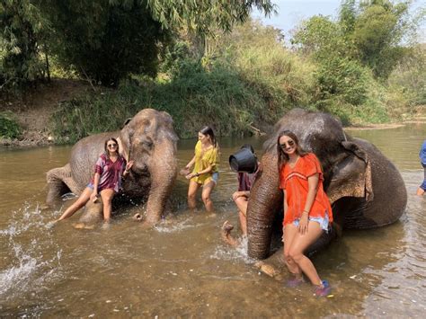 Chiang Mai Excursión al Santuario de Elefantes y a la Cascada Pegajosa