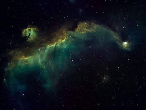 Seagull Nebula - IC2177 - ASG Astronomy