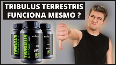 Tribulus Terrestris Para Que Serve Benefícios do tribulus terrestris