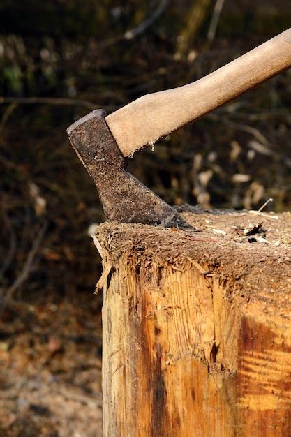 Un hombre que sostiene un hacha en el tocón de un árbol Foto Premium