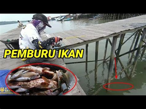 Pemburu Ikan Di Spot Pinggiran Dapat Satu Baskom Youtube