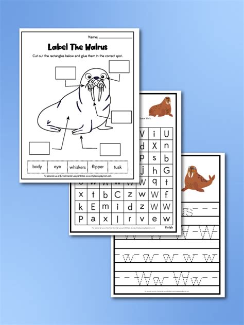 Walrus Worksheets For Kids [Free Printable]